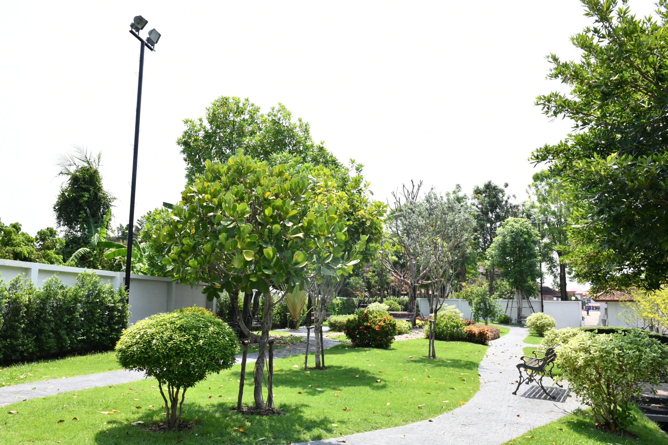 Meshtec Backyard – Green space